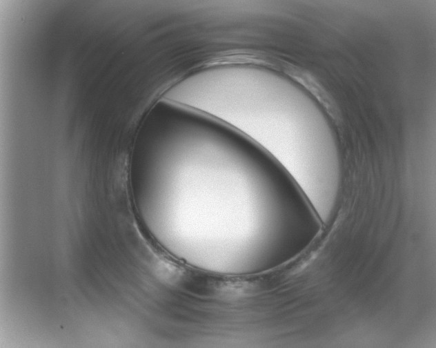 X0000070411233200606090947