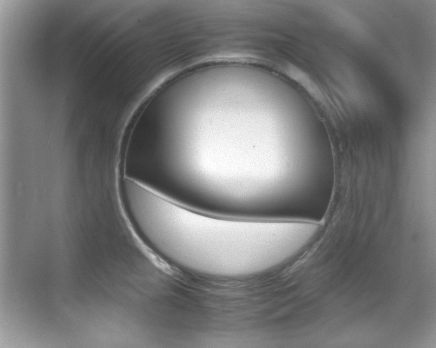 X0000070411237200606090947