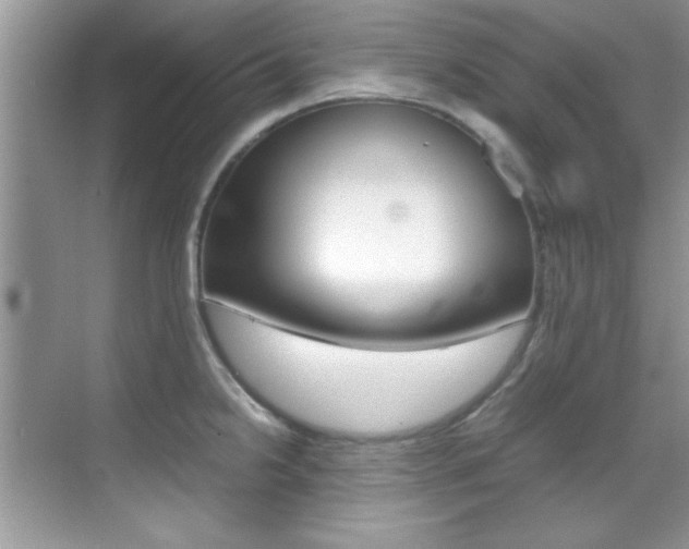 X0000070411238200606090947