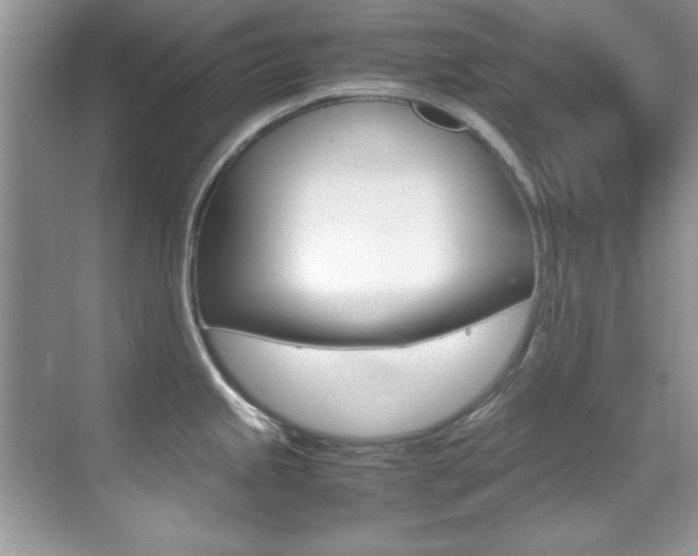 X0000070411245200606090947