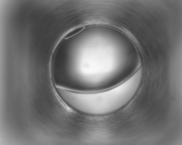 X0000070411246200606090947