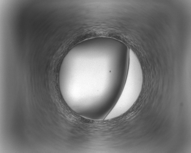 X0000070411249200606090946
