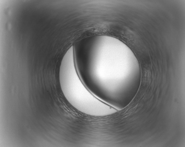 X0000070411250200606090946