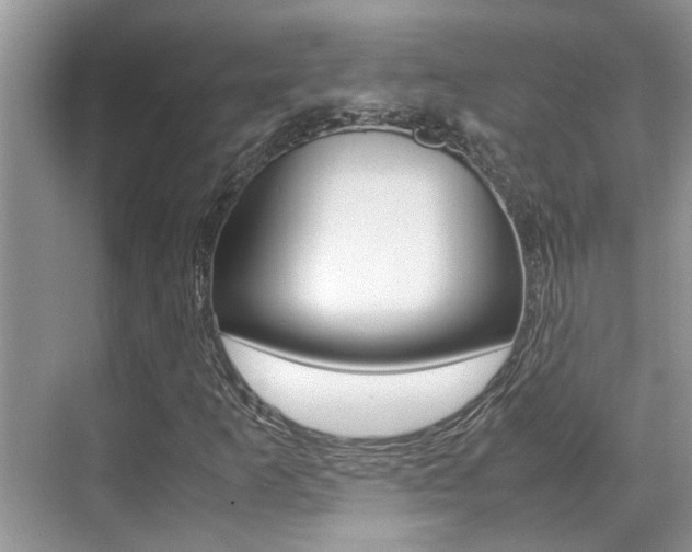 X0000070411253200606090946