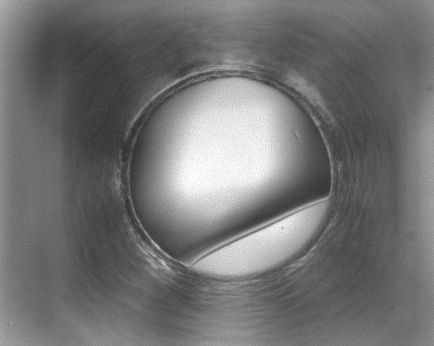 X0000070411260200606090946