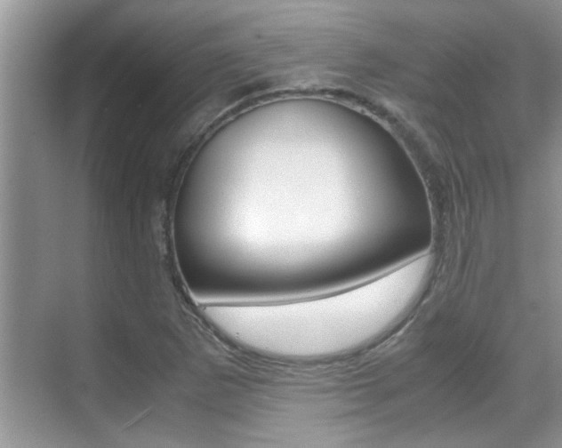 X0000070411265200606090946