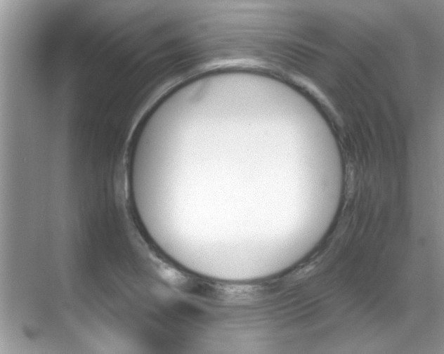 X0000070411274200606090946