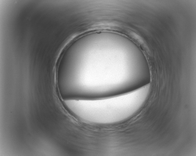 X0000070411275200606090946