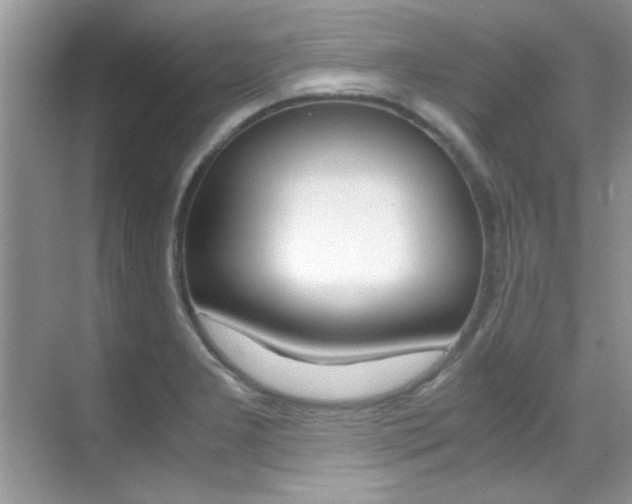 X0000070411277200606090946