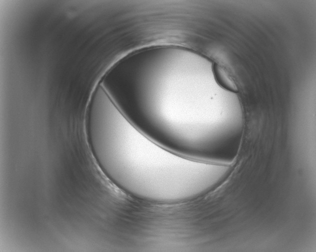 X0000070411284200606090946