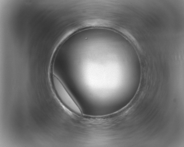 X0000070411285200606090946