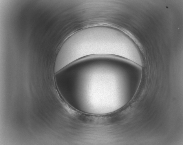 X0000070411289200606090946
