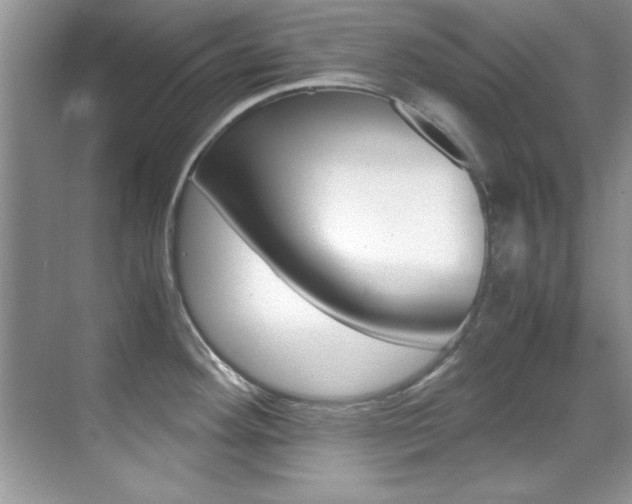 X0000070411292200606090946