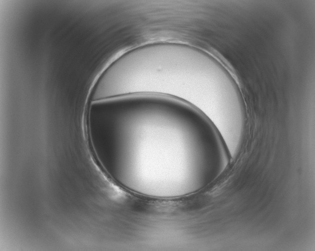 X0000070411293200606090946
