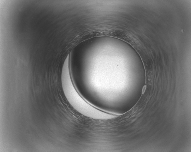 X0000070411298200606090945