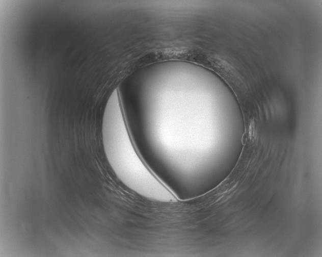 X0000070411299200606090945