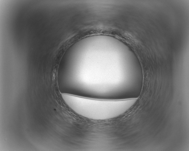X0000070411302200606090945