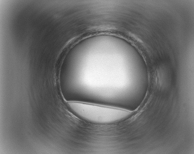X0000070411306200606090945