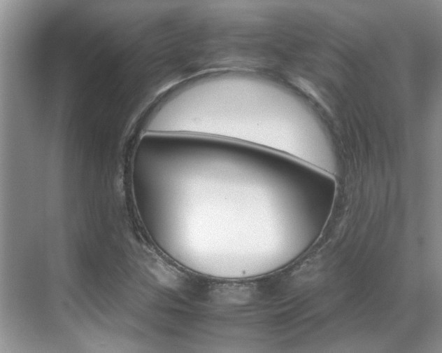 X0000070411307200606090945