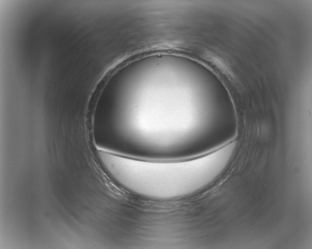 X0000070411308200606090945