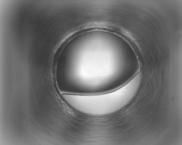 X0000070411312200606090945