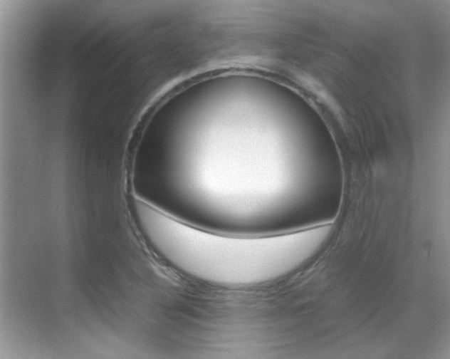 X0000070411316200606090945