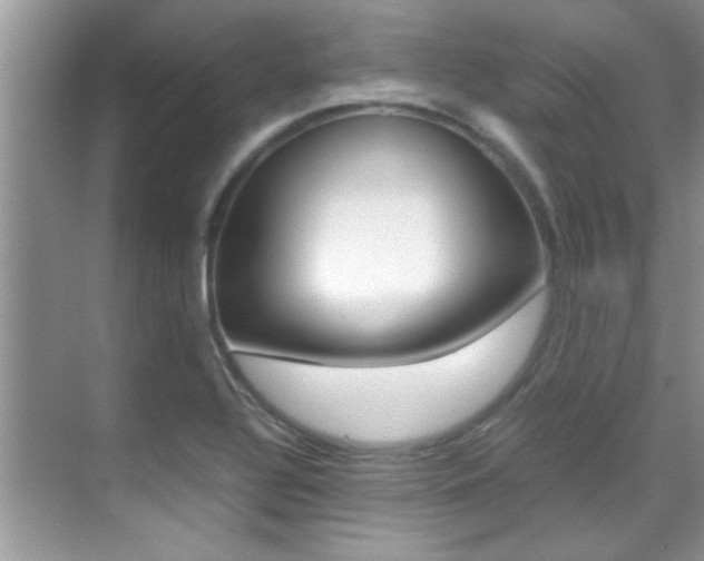 X0000070411320200606090945