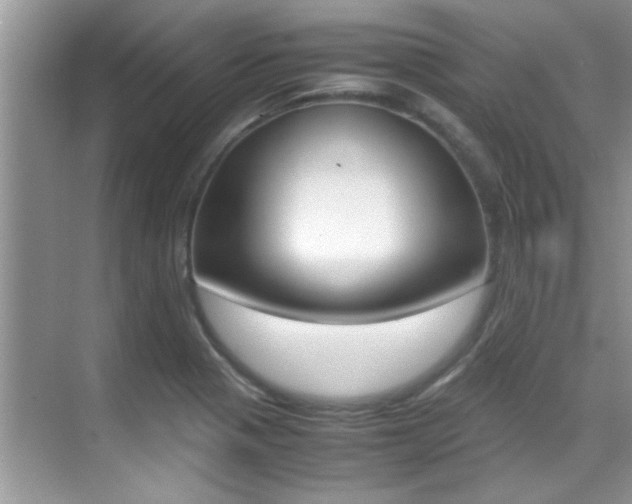 X0000070411321200606090945