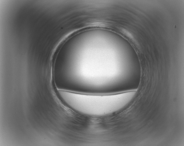 X0000070411323200606090945