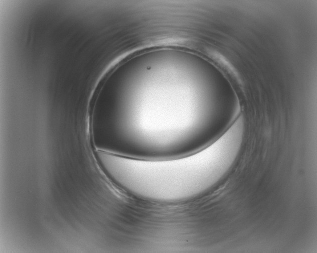 X0000070411324200606090945