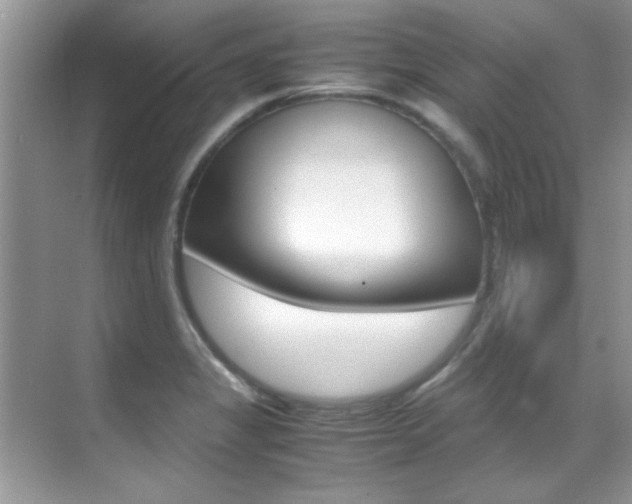 X0000070411325200606090945