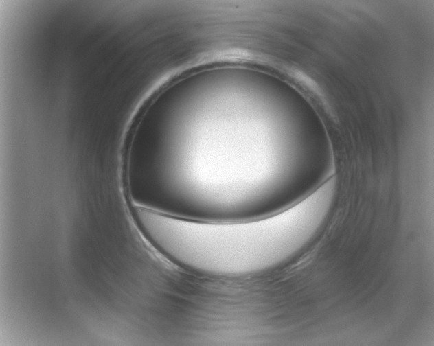X0000070411326200606090945