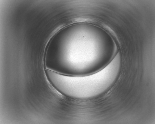 X0000070411330200606090945