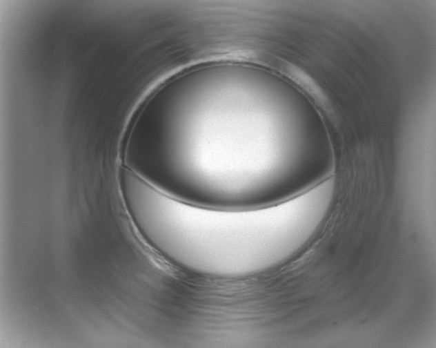 X0000070411332200606090945