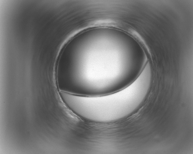 X0000070411336200606090945