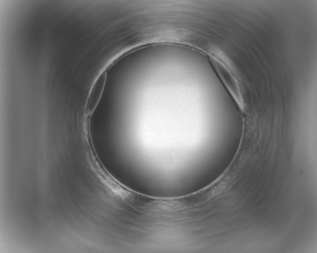 X0000070411340200606090946