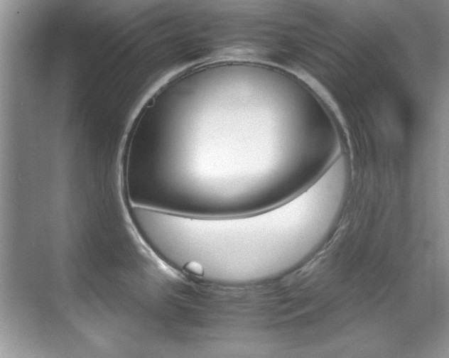 X0000070411341200606090946