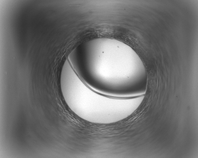 X0000070411345200606090945