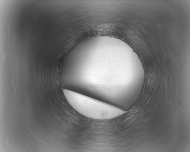 X0000070411346200606090945