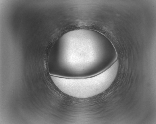 X0000070411348200606090945