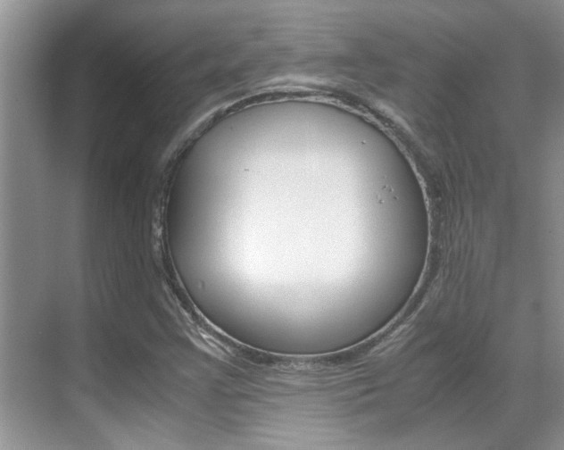 X0000070411355200606090945