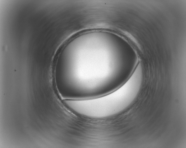 X0000070411364200606090944