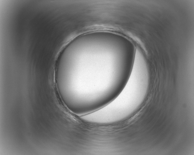X0000070411365200606090944