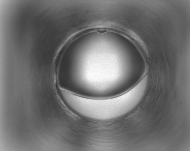 X0000070411368200606090944