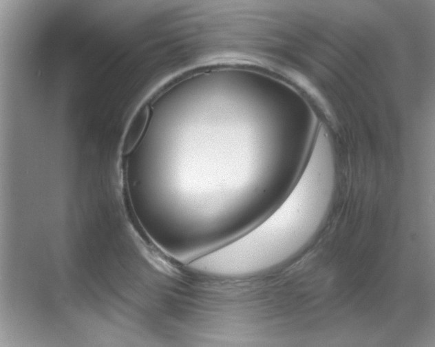 X0000070411372200606090944