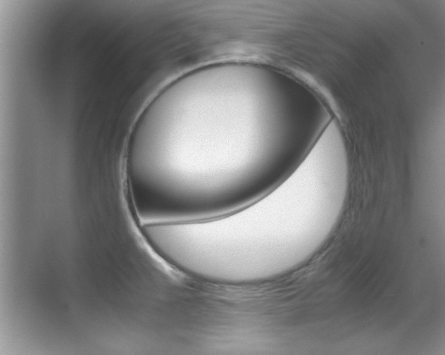 X0000070411383200606090944