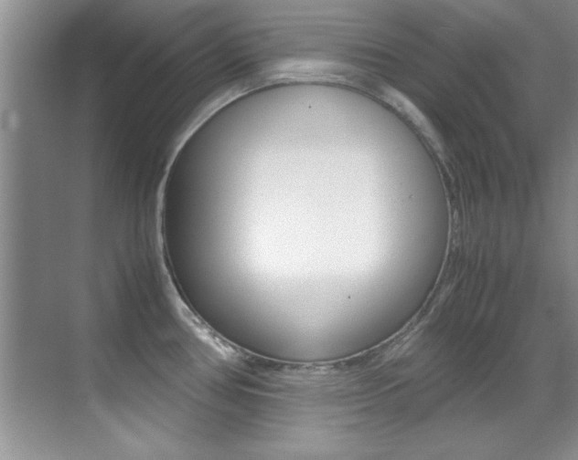 X0000070411386200606090944
