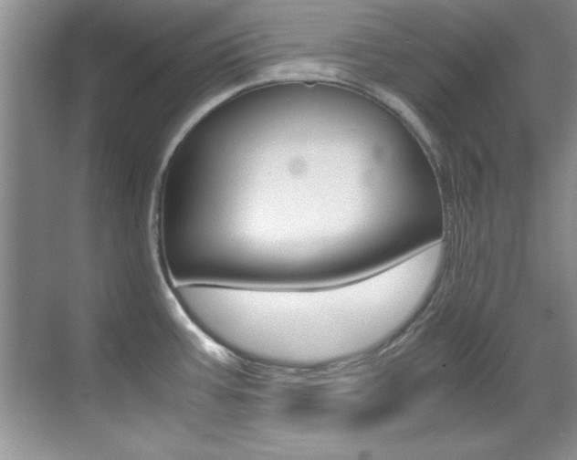 X0000070411387200606090944