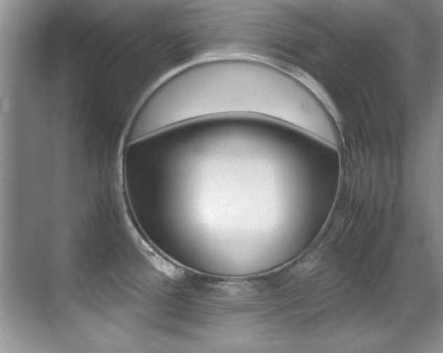 X0000070411388200606090944