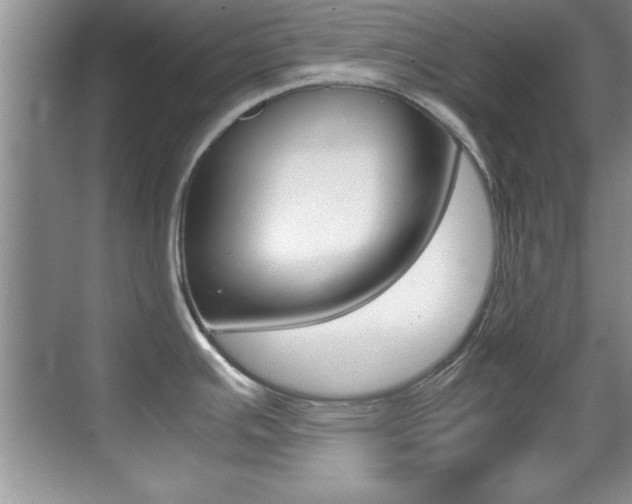 X0000070411391200606090944